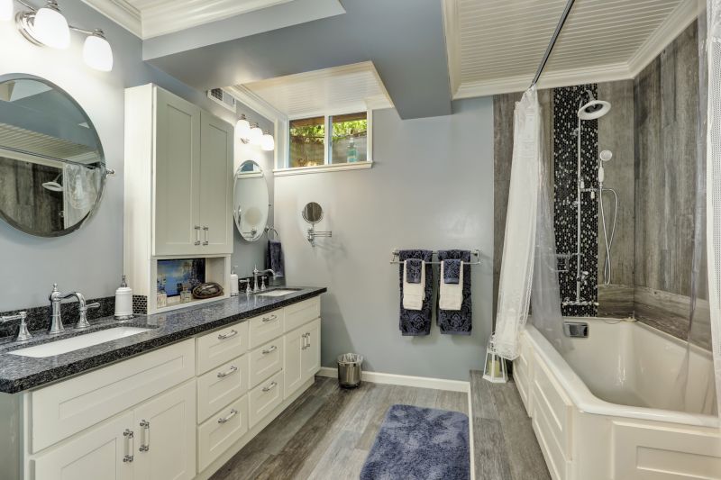 Bathroom Enlargement detail